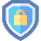 Security Icon